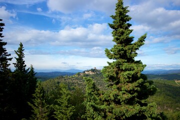 Hilltop estate near Florence Italy