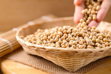 Soybean seeds in hand pouring into bamboo basket on wooden background