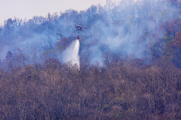 Fototapeta premium Helicopter dropping water on a forest fire