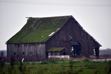 Fototapeta na wymiar wooden barn with a mossy roof in the farm