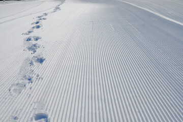 雪に覆われた大地