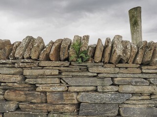 Dry stone wall boundary wall, made of stacked stones, Scotland