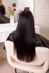 Female back with long straight brunette hair in hairdressing salon