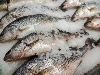 Fresh sea fish on the market close up.