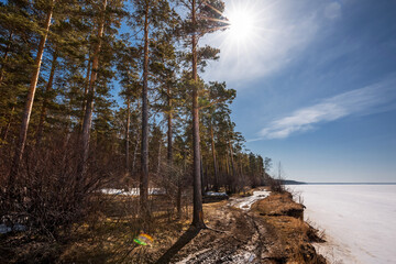 The coast of the Ob Sea in April. Spring landscape