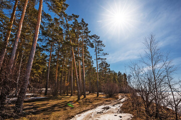 The coast of the Ob Sea in April. Spring landscape