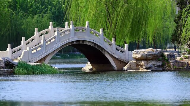 A beautiful single-arch stone bridge above a lake in a park, with weeping willows swaying in the wind