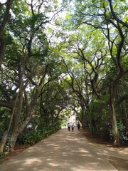 walk in the park