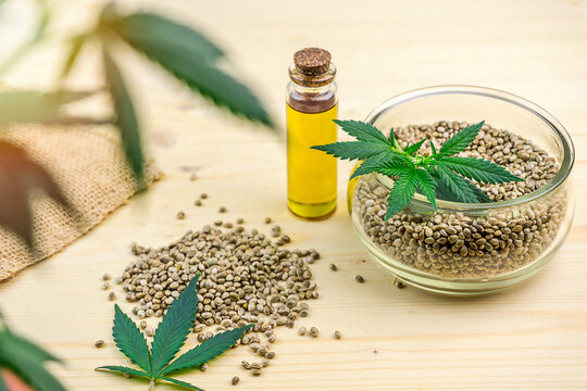 Cannabis seeds in bowl CBD hemp oil and on table