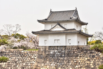 Fototapeta premium 大阪城の一番櫓