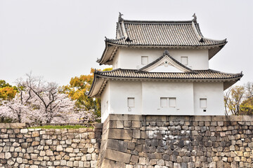 Fototapeta premium 大阪城の一番櫓