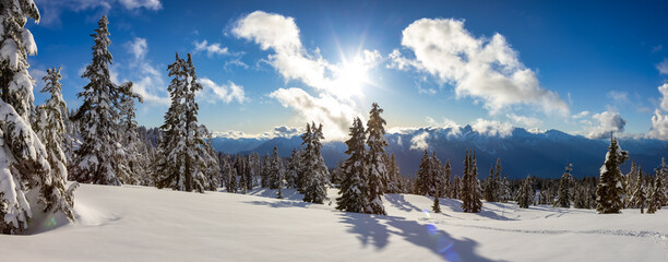 Panoramic View of Canadian Nature Landscape on top of snow covered mountain and green trees in spring. Taken on a snowshoe hike up Elfin Lake in Squamish, North of Vancouver, BC, Canada. - obrazy, fototapety, plakaty