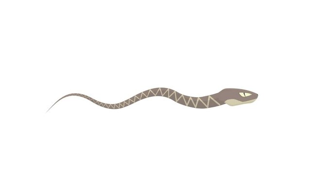 Snake. Animal snake animation, alpha channel enabled. Cartoon