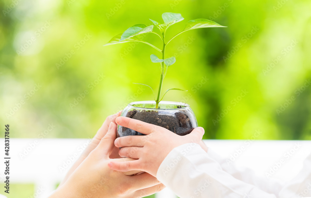 Poster 植物の苗を手渡す母親と女の子　環境イメージ　サステナブル　sdgs
