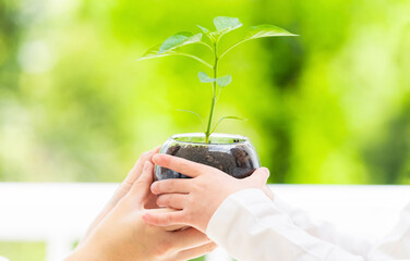 植物の苗を手渡す母親と女の子　環境イメージ　サステナブル　SDGs