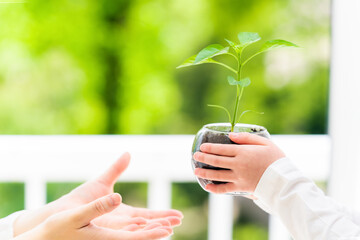 植物の苗を手渡す母親と女の子　環境イメージ　サステナブル　SDGs