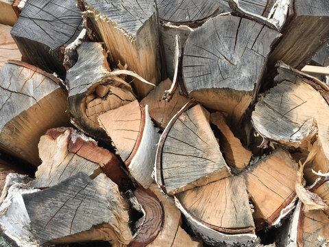 Birch wood darkened from old age piled into a lyd