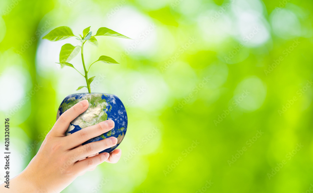 Poster 地球模様の植木鉢を持つ女性　環境イメージ　サステナブル　sdgs