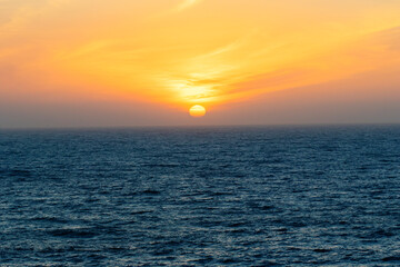 Obraz premium Wildflowers in California Coast