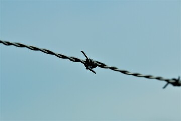 Barbed wire in front of blue sky