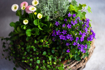 Spring Easter floral composition