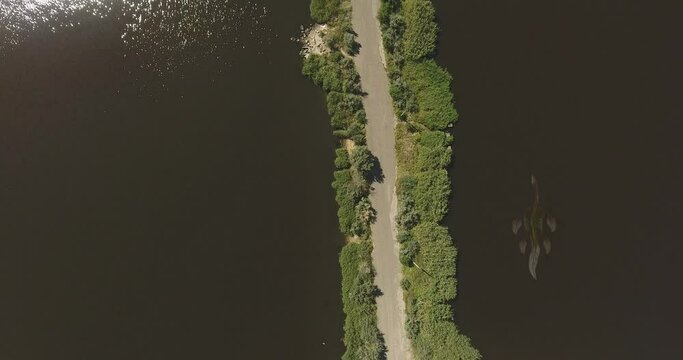Aerial view. Ness Monster. Dragon, monster of prehistoric era, floats underwater along coast river, yacht marine
