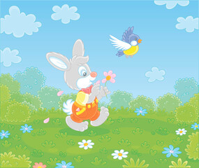 Little enamored bunny guessing on a daisy and walking on green grass of a pretty summer field with flowers on a beautiful warm day, vector cartoon illustration