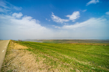 Spring landscape in Kakheti
