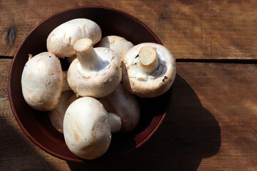 Raw champignon mushrooms in brown ceramic bowl on wooden table background. Top view, copy space. Hard light, shadow	