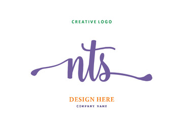 NTS lettering logo is simple, easy to understand and authoritative