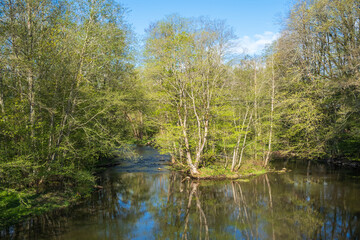 Fototapeta na wymiar Sunny spring day at a river forest