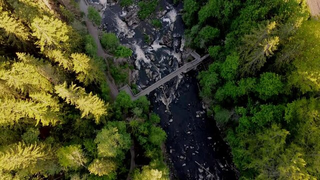 Aerial view of rapids in summer time. Drone footage of Myllykoski rapids in Nurmij&auml;rvi, Finland. Sunlight lighting the tops of trees. Bridge crossing the river.