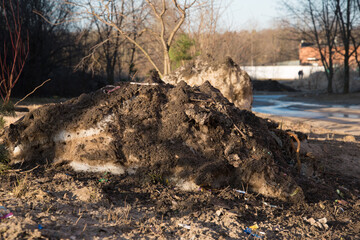 A large pile of dirty melting snow. The concept of the coming of spring and melting snow