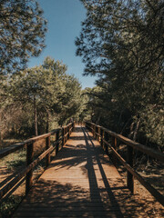 Empty wooden road in Mediterranean park toned image, perspective 