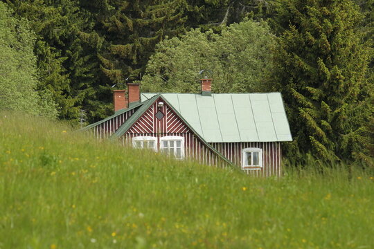 timbered cottage hidden behind a grassy hill near the forest