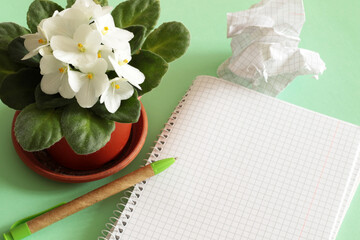 opened spiral notebook with pot flower and pen on green background