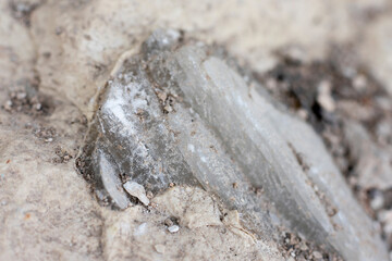 Mineral inside of stone. Unpolished quartz excavating or deposit. Semi-precious gems mining in limestone