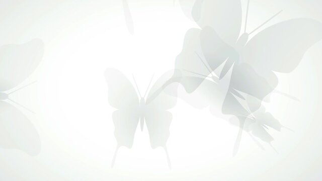 Flying butterflies in transparency on a white background. Animated abstract illustration. Springtime
