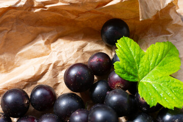 Macro photo of group of ripe black currants and green leaf on paper, top view