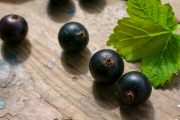 Composition with seasonal berries. Black currants close up on wooden textured table