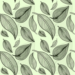 Floral Seamless Pattern Vector