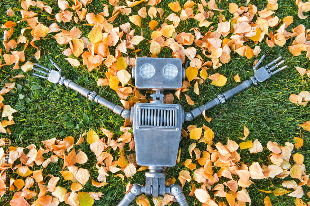 Wall mural Happy humanoid robot lies on the autumn grass. - Wall murals