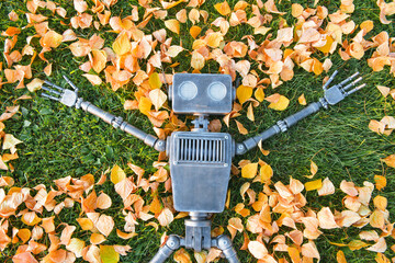 Happy humanoid robot lies on the autumn grass.
