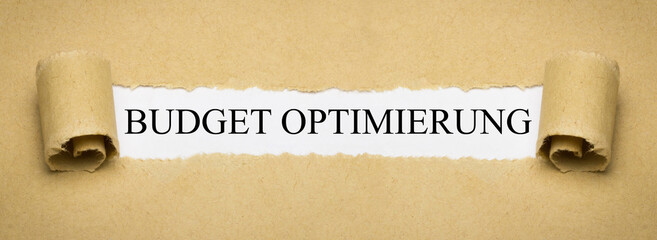 Budget Optimierung