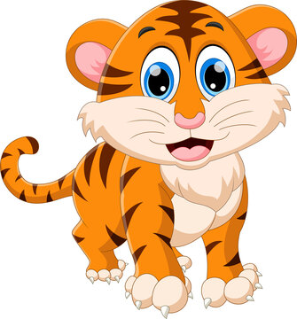 cute baby tiger cartoon on a white background