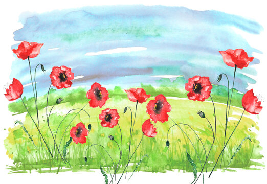 Watercolor painting, landscape of bright green grass, red poppy steppe,green, yellow flowers, plants, field, meadow against a blue sky. Logo, card for your design.Summer countryside landscape. 