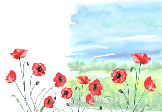 Watercolor painting, landscape of bright green grass, red poppy steppe,green, yellow flowers, plants, field, meadow against a blue sky. Logo, card for your design.Summer countryside landscape. 