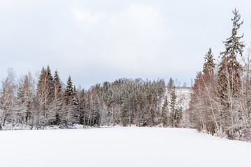 Waldsee Elbingstalteich Selketal Harz im Winter