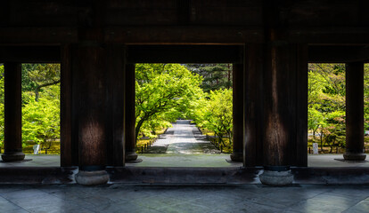 京都南禅寺の三門と新緑のカエデ