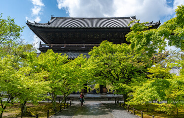 京都南禅寺の三門と新緑のカエデ